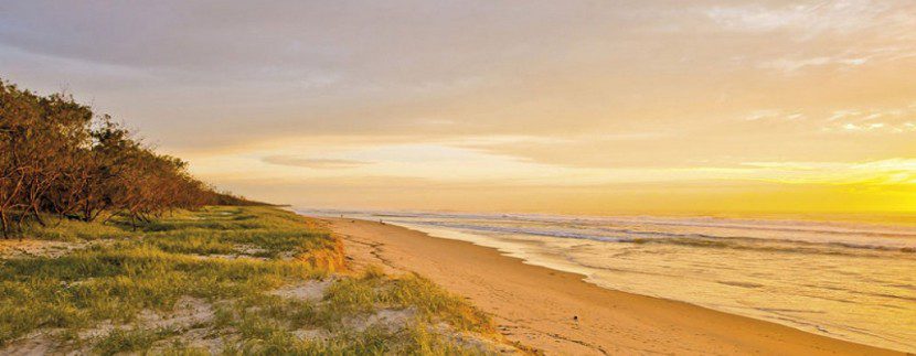 Casuarina beach