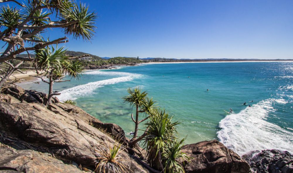 Cabarita Beachside Apartments Ray Real Estate Agents Casuarina